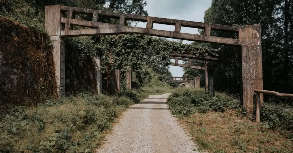 Ak vine