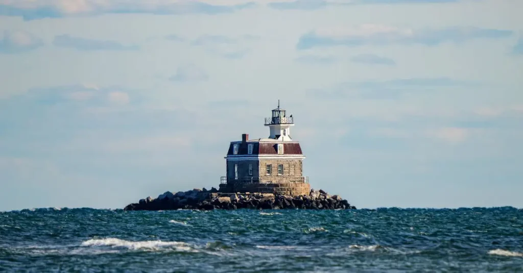 Lighthouse vine