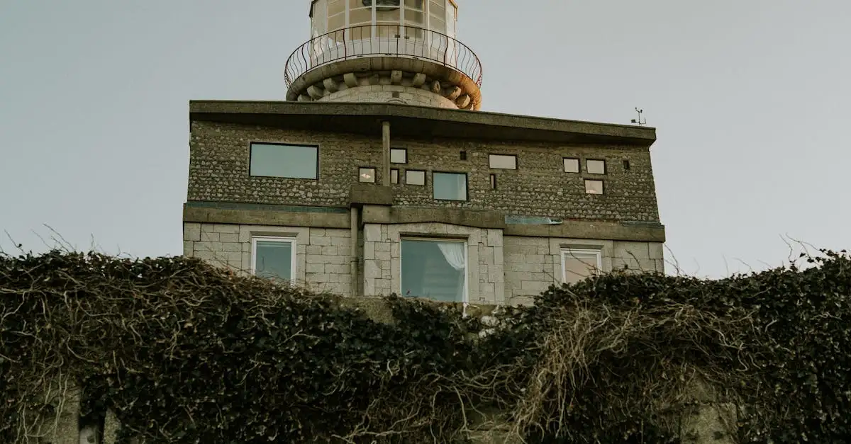 Lighthouse vine