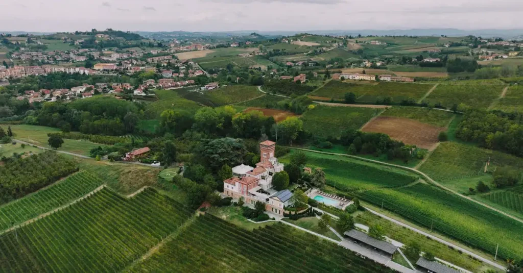 Piemonte vine