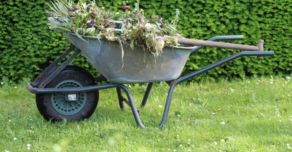Fjernelse af slyngplanter: Effektiv guide til din have