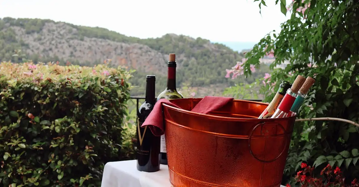 Breca Old Vines Garnacha 2014: Intens og fyldig rødvin