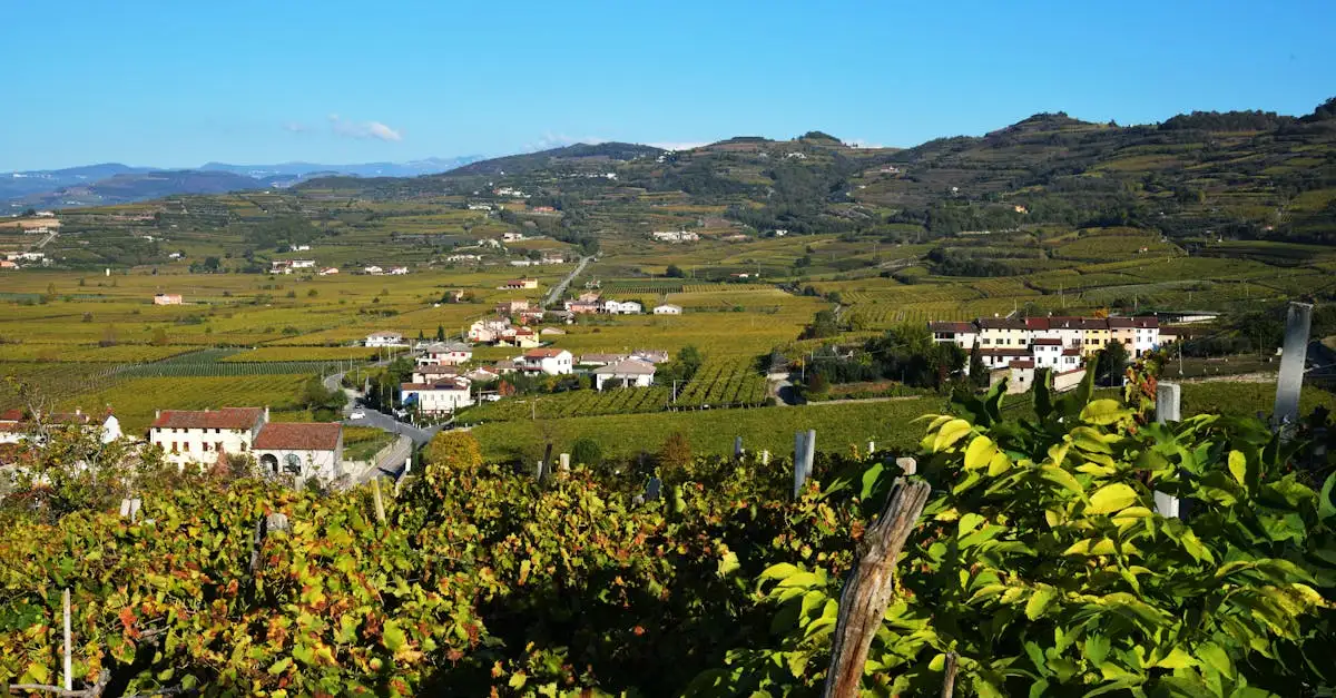 Oplev Soave vine: Elegance og friskhed fra Italien