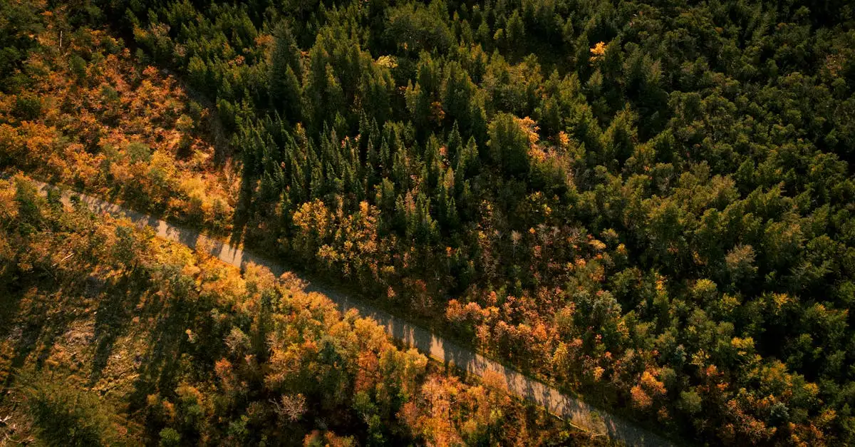 Se danske vine videoer og få inspiration til din næste